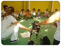 Projeto Animais e seus filhotes