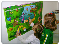 Projeto Animais e seus filhotes
