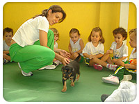 Projeto Animais e seus filhotes