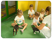 Projeto Animais e seus filhotes