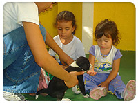 Projeto Animais e seus filhotes